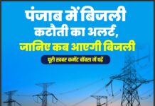 पंजाब में बिजली कटौती का अलर्ट, जानिए कब आएगी बिजली