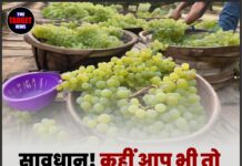 सावधान! कहीं आप भी तो नहीं खा रहे ज़हरीले अंगूर?