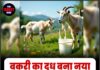 बकरी का दूध बना नया सुपरफूड, बढ़ी डिमांड
