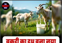 बकरी का दूध बना नया सुपरफूड, बढ़ी डिमांड