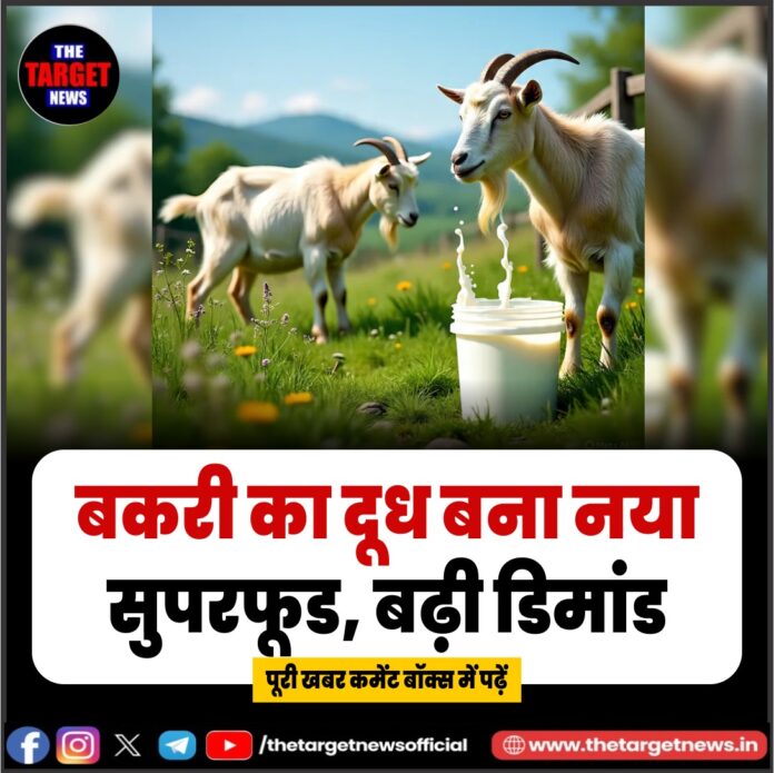 WhatsApp Image 2026-03-22 at 15.01.08 (1)