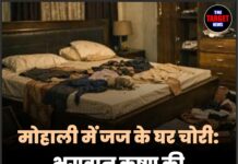 मोहाली में सेशन जज के घर मे हुई चोरी: भगवान श्री कृष्ण की साथ ले गए चोर !