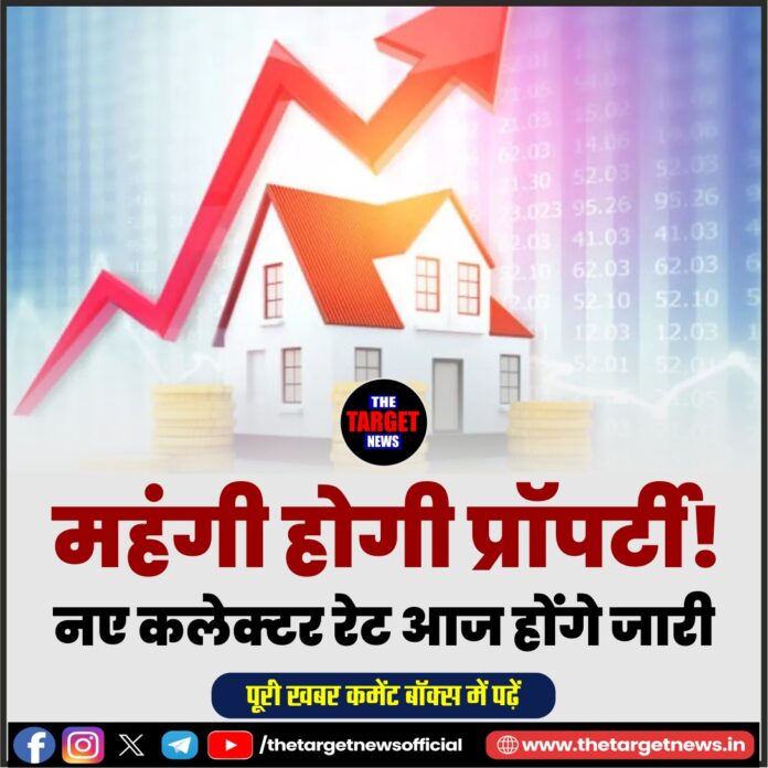 WhatsApp Image 2026-03-25 at 11.55.01