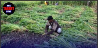 किसानों की जान से खिलवाड़ महंगा पड़ेगा: सरकार का सख्त कानून तैयार