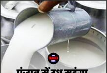 पंजाब में दूध महंगा, 1 अप्रैल से नए रेट लागू