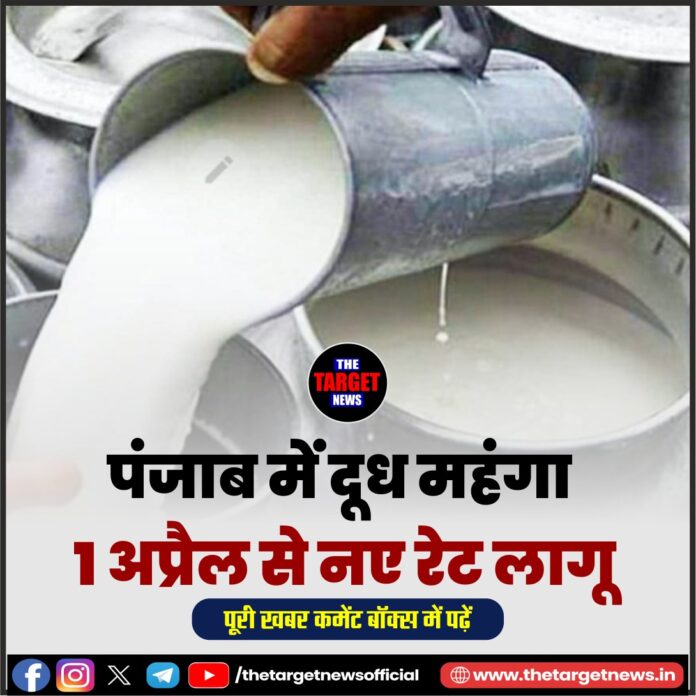 WhatsApp Image 2026-03-30 at 19.09.17