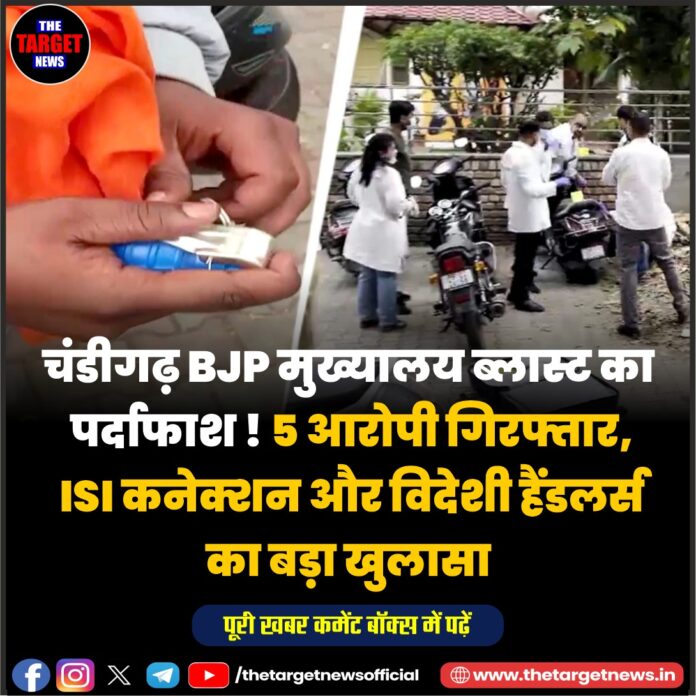 WhatsApp Image 2026-04-04 at 18.36.26