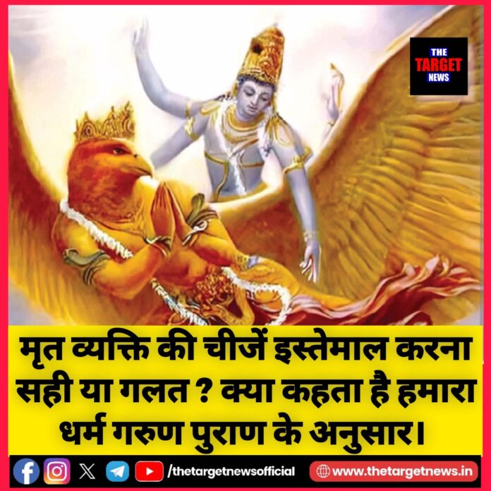 WhatsApp Image 2026-04-05 at 18.13.44