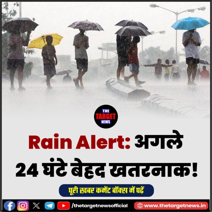 WhatsApp Image 2026-04-08 at 11.11.08