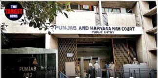 पंजाब कर्मचारियों को बड़ी राहत! हाईकोर्ट का ऐतिहासिक फैसला