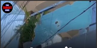 पंजाब में कारोबारी पर फायरिंग, 1 करोड़ की फिरौती कनेक्शन