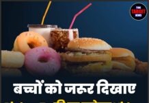 बच्चों को जरूर दिखाए Pinkoo Tv की यह मजेदार Video, बनेगा स्वास्थ,जंक फूड से रहेंगे दूर !