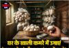 घर के खाली कमरे में उगाएं ‘व्हाइट गोल्ड’ और कमाएं लाखों रुपये! ऐसे शुरू करें यह कारोबार