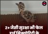 Z+ जैसी सुरक्षा भी फेल, हाई सिक्योरिटी के बावजूद ‘चूजा’ लापता