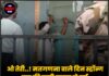 ओ तेरी..! मतगणना वाले दिन स्ट्रॉन्ग रूम की चाबी गायब हो गई, अधिकारी हथौड़ा-छेनी लेकर पहुंच गए