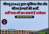 पीएयू (PAU) द्वारा जूनियर लैब और फील्ड हेल्परों की भर्ती, 8वीं पास भी कर सकते हैं आवेदन