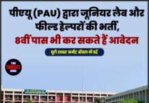 पीएयू (PAU) द्वारा जूनियर लैब और फील्ड हेल्परों की भर्ती, 8वीं पास भी कर सकते हैं आवेदन