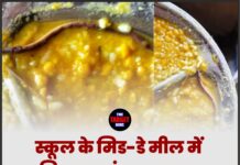 स्कूल के मिड-डे मील में निकला सांप का बच्चा, सैकड़ों विद्यार्थी अस्पताल में भर्ती