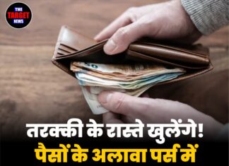 तरक्की के रास्ते खुलेंगे! पैसों के अलावा पर्स में रखें ये शुभ चीजें