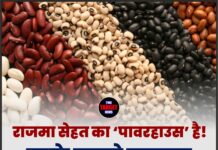 राजमा सेहत का ‘पावरहाउस’ है! इसके फायदे जानकर आप हैरान रह जाएंगे