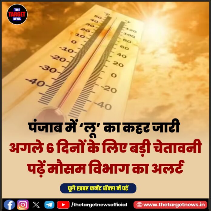 WhatsApp Image 2026-05-18 at 17.51.10