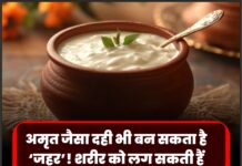 अमृत जैसा दही भी बन सकता है ‘जहर’! शरीर को लग सकती हैं ये गंभीर बीमारियां, जानिए खाने का सही समय