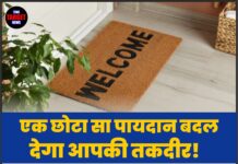 एक छोटा सा पायदान बदल देगा आपकी तकदीर! जानिए मुख्य दरवाजे पर कौन-सा रंग खोलता है अमीर बनने के रास्ते