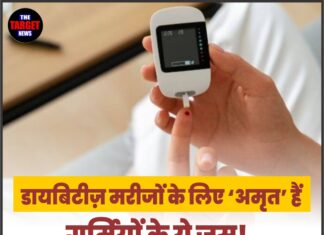 डायबिटीज़ मरीजों के लिए ‘अमृत’ हैं गर्मियों के ये जूस! मिलेंगे ज़बरदस्त फायदे