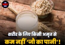 शरीर के लिए किसी अमृत से कम नहीं ‘जौ का पानी’! रोज सुबह पीने से दूर होंगी ये गंभीर बीमारियां।