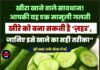 खीरा खाने वाले सावधान! आपकी यह एक मामूली गलती खीरे को बना सकती है ‘ज़हर’, जानिए इसे खाने का सही तरीका”
