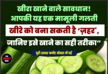 खीरा खाने वाले सावधान! आपकी यह एक मामूली गलती खीरे को बना सकती है ‘ज़हर’, जानिए इसे खाने का सही तरीका”