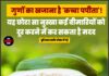 गुणों का खजाना है ‘कच्चा पपीता’! यह छोटा सा नुस्खा कई बीमारियों को दूर करने में कर सकता है मदद