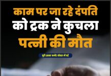 काम पर जा रहे दंपति को ट्रक ने कुचला, पत्नी की मौत