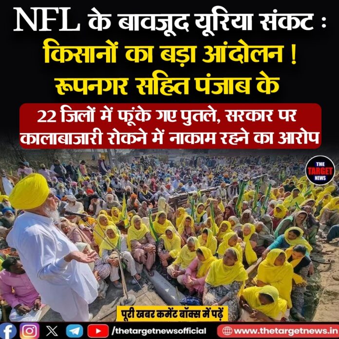 WhatsApp Image 2026-06-08 at 21.56.37
