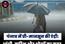 पंजाब में प्री-मानसून की एंट्री: आंधी, बारिश और ओलों का कहर, 10 जिलों में ऑरेंज अलर्ट