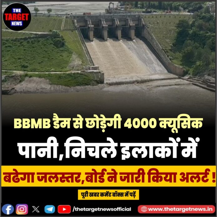 WhatsApp Image 2026-06-14 at 13.31.29