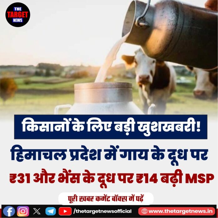 WhatsApp Image 2026-06-15 at 19.21.40