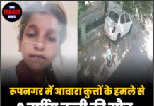 रूपनगर में आवारा कुत्तों के हमले से 8 वर्षीय बच्ची की मौत, NHRC ने पंजाब सरकार से मांगी रिपोर्ट