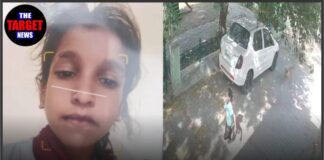रूपनगर में आवारा कुत्तों के हमले से 8 वर्षीय बच्ची की मौत, NHRC ने पंजाब सरकार से मांगी रिपोर्ट