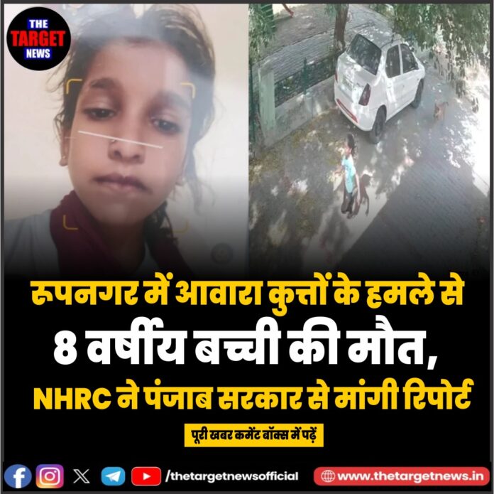 WhatsApp Image 2026-06-16 at 10.11.08
