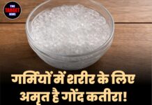 गर्मियों में शरीर के लिए अमृत है गोंद कतीरा! रोजाना सेवन करने से मिलेंगे हैरान कर देने वाले फायदे