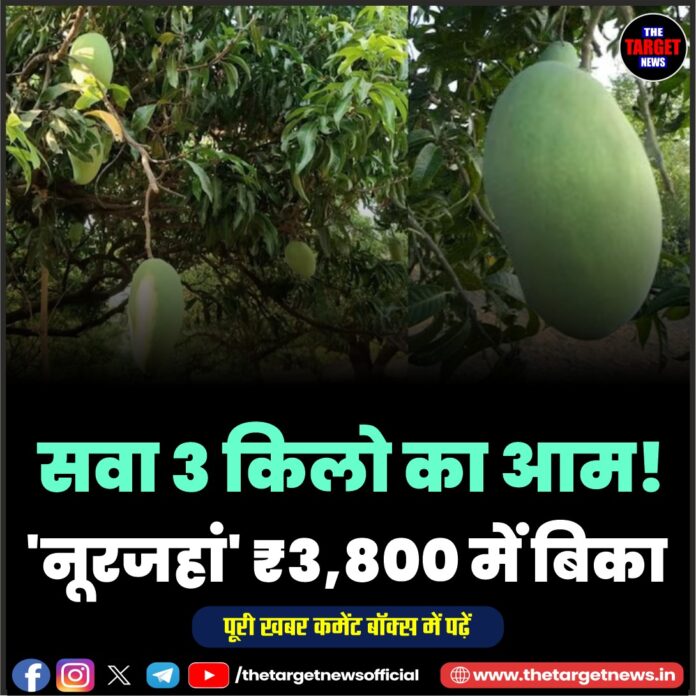 WhatsApp Image 2026-06-17 at 13.35.42