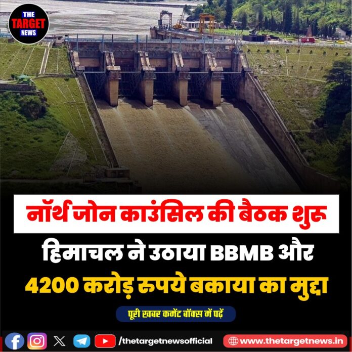 WhatsApp Image 2026-06-19 at 13.45.17