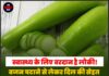 स्वास्थ्य के लिए वरदान है लौकी! वजन घटाने से लेकर दिल की सेहत तक जानें इसके हैरान कर देने वाले फायदे