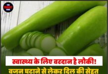 स्वास्थ्य के लिए वरदान है लौकी! वजन घटाने से लेकर दिल की सेहत तक जानें इसके हैरान कर देने वाले फायदे