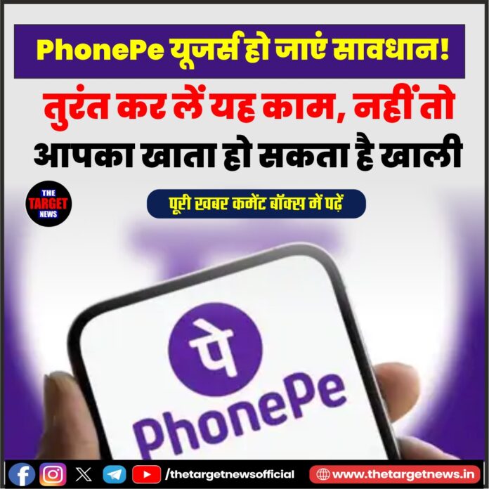 WhatsApp Image 2026-06-19 at 15.46.11
