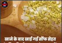 खाने के बाद खाई गई सौंफ सेहत के लिए किसी वरदान से कम नहीं! फायदे जानकर रह जाएंगे हैरान