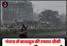 पंजाब में मानसून की रफ्तार धीमी, 25 जून तक बारिश का अलर्ट; उमस और बिजली गिरने की चेतावनी