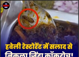 हवेली रेस्टोरेंट में सलाद से निकला जिंदा कॉकरोच! VIDEO वायरल होते ही मचा हड़कंप