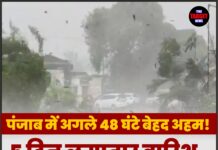 पंजाब में अगले 48 घंटे बेहद अहम! 5 दिन लगातार बारिश, 14 जिलों में आंधी-तूफान का अलर्ट जारी